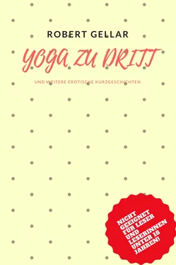 Robert Gellar Yoga zu dritt обложка книги