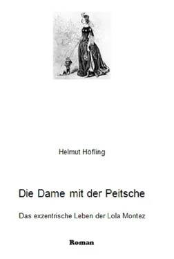 Helmut Höfling Die Dame mit der Peitsche обложка книги