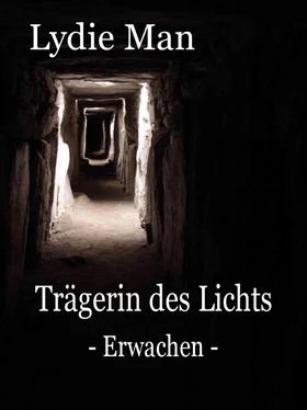 Lydie Man Trägerin des Lichts - Erwachen обложка книги