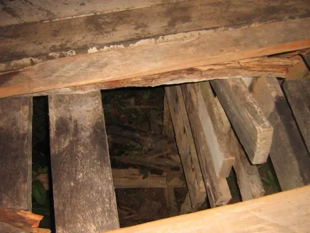 Brücke nach der Instandsetzung Und tatsächlich je weiter wir kommen desto - фото 23