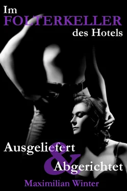 Maximilian Winter Im Folterkeller des Hotels - Ausgeliefert & Abgerichtet обложка книги