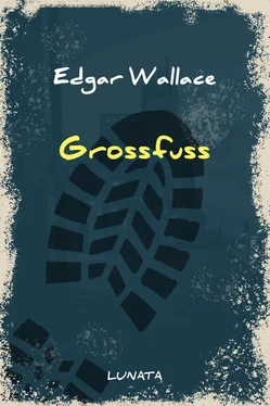 Edgar Wallace Grossfuss обложка книги