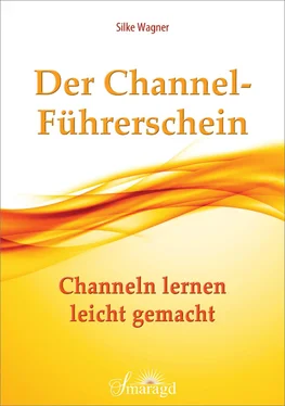 Silke Wagner Der Channel-Führerschein обложка книги