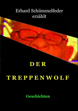 Erhard Schümmelfeder Der Treppenwolf обложка книги