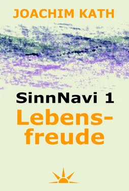 Joachim Kath SinnNavi 1 Lebensfreude обложка книги