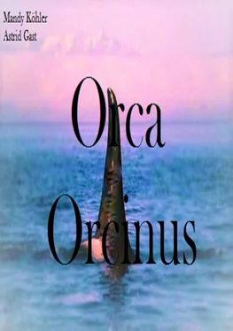 Mandy Köhler Orca Orcinus обложка книги