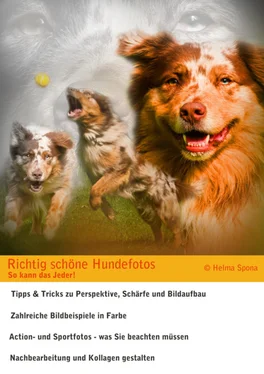 Helma Spona Richtig schöne Hundefotos обложка книги