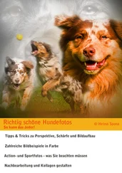 Helma Spona - Richtig schöne Hundefotos