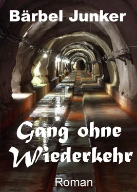 Bärbel Junker Gang ohne Wiederkehr обложка книги