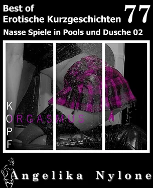 Angelika Nylone Angelika Nylone: Erotische Kurzgeschichten - Best of 77 обложка книги
