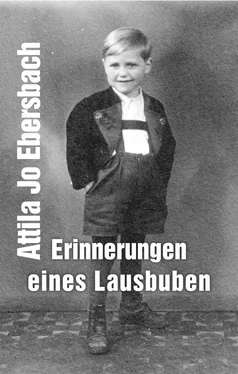 Attila Jo Ebersbach Erinnerungen eines Lausbuben обложка книги