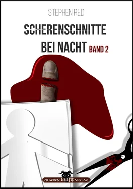 Stephen Red Scherenschnitte bei Nacht - Band 2 обложка книги