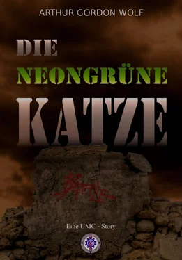 Arthur Gordon Wolf DIE NEONGRÜNE KATZE обложка книги