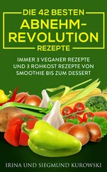 Siegmund Kurowski - Die 42 besten Abnehm-Revolution 2016 Rezepte