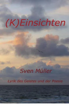 Sven Müller (K)Einsichten обложка книги