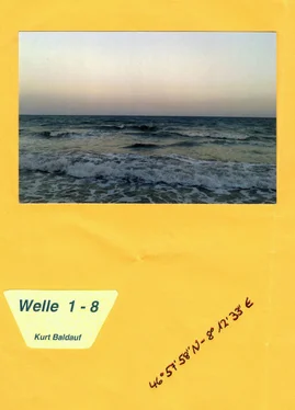 Kurt Baldauf Welle 1 - 8 обложка книги