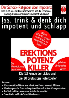 K.T.N. Len'ssi EREKTIONS & POTENZ-KILLER – Iss, trink & denk dich impotent und schlapp обложка книги