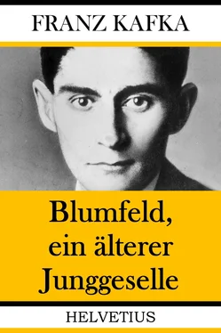 Franz Kafka Blumfeld, ein älterer Junggeselle обложка книги