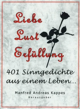 Helmut Wilhelm Friedrich Kappes Liebe Lust Erfüllung обложка книги