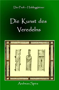 Andreas Spira Die Kunst des Veredelns обложка книги