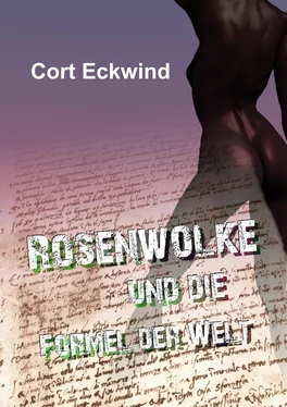 Cort Eckwind Rosenwolke und die Formel der Welt обложка книги