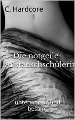 C. Hardcore - Die notgeile Austauschschülerin