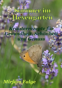 Mirjam Falge Sommer im Hexengarten обложка книги