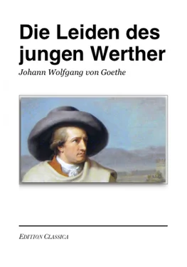 Неизвестный Автор Die Leiden des jungen Werther обложка книги