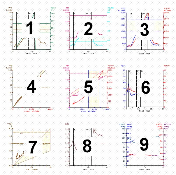 Numerische Auswertung Neben den direkt erhobenen Parametern kann eine Vielzahl - фото 2