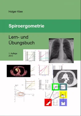 Holger Klee Spiroergometrie обложка книги