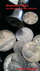 Peter Raupach - Blutendes Silber