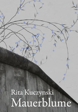 Rita Kuczynski Mauerblume обложка книги