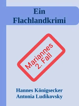 Hannes Königsecker Ein Flachlandkrimi II обложка книги