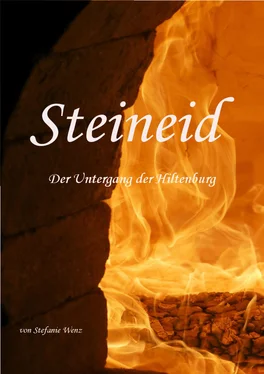 Stefanie Wenz Steineid обложка книги