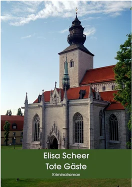 Elisa Scheer Tote Gäste обложка книги