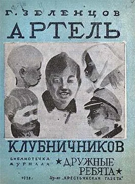 Георгий Зеленцов Артель клубничников обложка книги