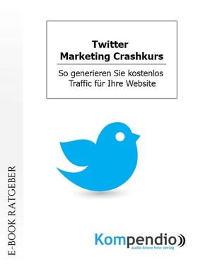 Daniela Nelz Twitter. Marketing Crashkurs обложка книги