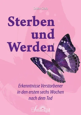 Sabine Skala Sterben und Werden обложка книги