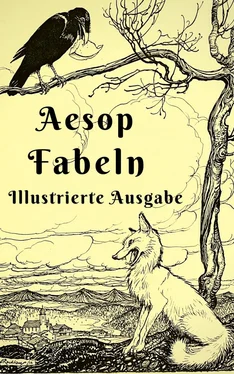 Aesop Äsop Aesop - Fabeln обложка книги