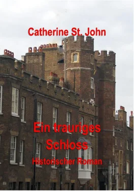 Catherine St.John Ein trauriges Schloss обложка книги