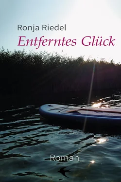 Ronja Riedel Entferntes Glück обложка книги