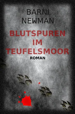 Barni Newman Blutspuren im Teufelsmoor обложка книги