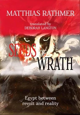 Matthias Rathmer Seeds of Wrath обложка книги