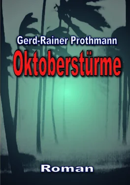 Gerd-Rainer Prothmann Oktoberstürme обложка книги