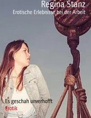 Regina Stanz - Erotische Erlebnisse bei der Arbeit
