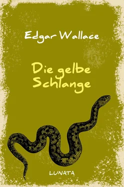 Edgar Wallace Die gelbe Schlange