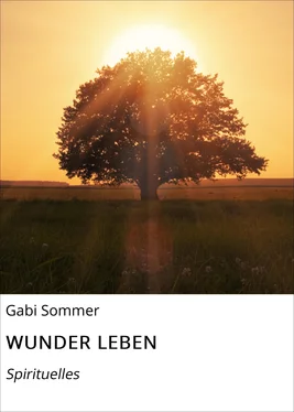 Gabi Sommer WUNDER LEBEN обложка книги