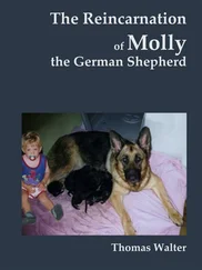 Thomas Walter - The reincarnation of Molly, the German Shepherd