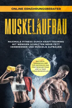 Online Ernährungsberater Muskelaufbau - Maximale Fitness durch Krafttraining обложка книги