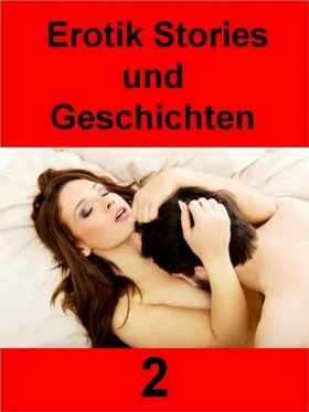 Renate Teicher Erotik Stories und Geschichten 2 - 403 Seiten обложка книги